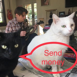 Fundraising Page: Aneta Freeman